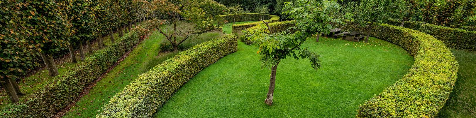 Photo du jardin verdoyant de My Not.